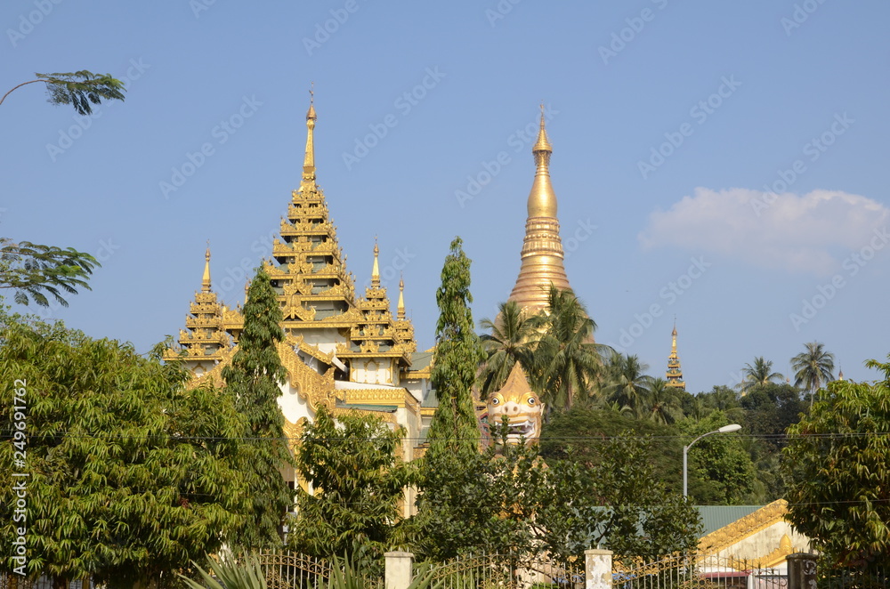 Fototapeta premium temple in thailand