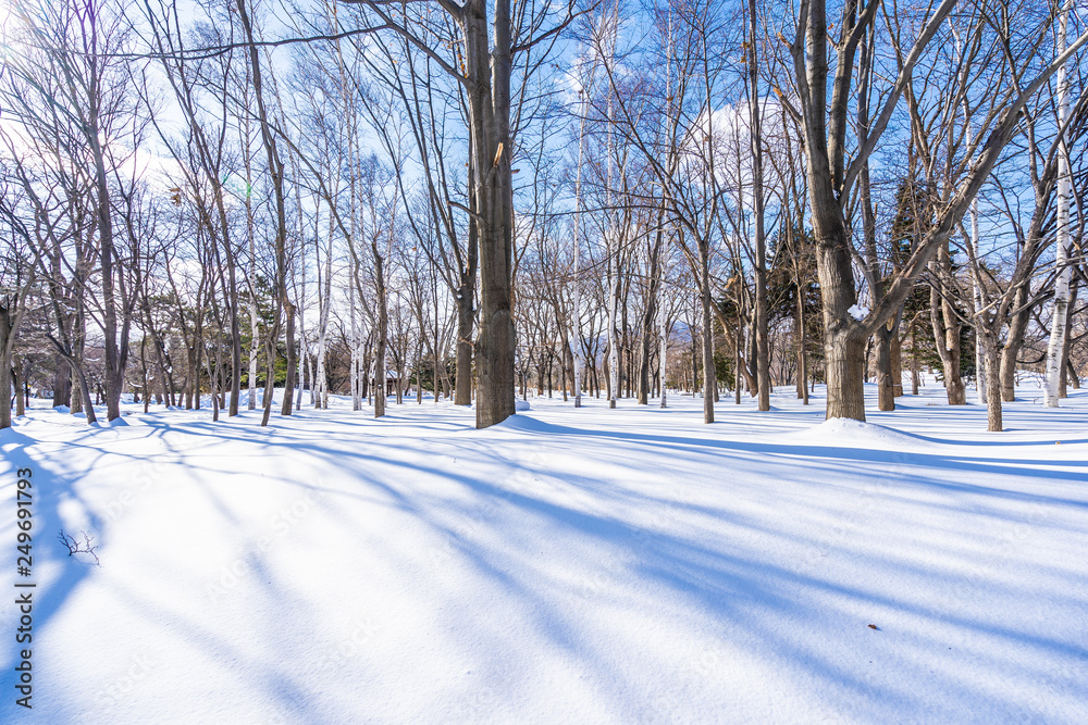 Obraz premium Beautiful landscape with tree in snow winter season
