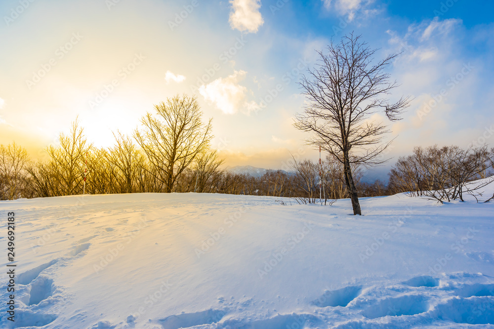 Beautiful landscape with mountain around tree in snow winter season at sunset time Beautiful landscape with mountain around tree in snow winter season at sunset time