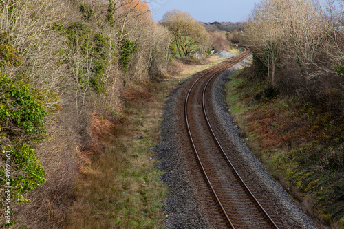 Train rail with winter vegetation
