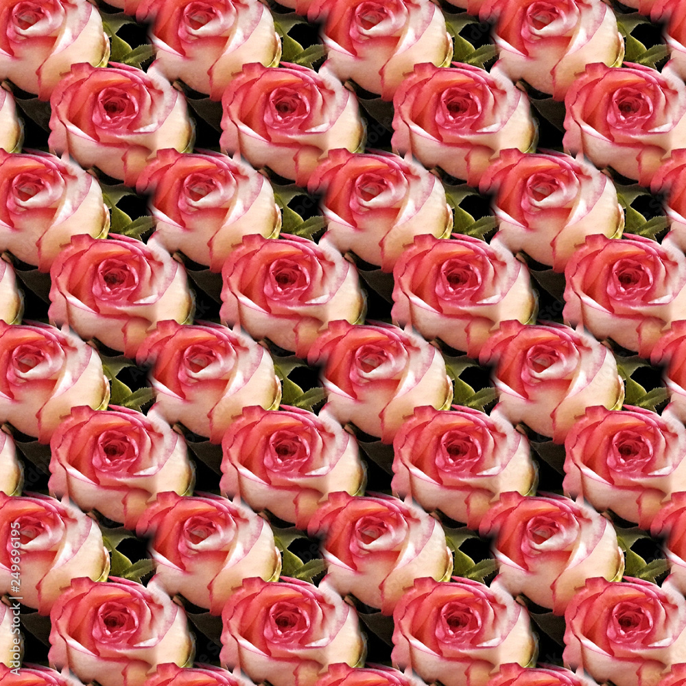 Seamless texture - Pink roses in a bouquet as a declaration of love