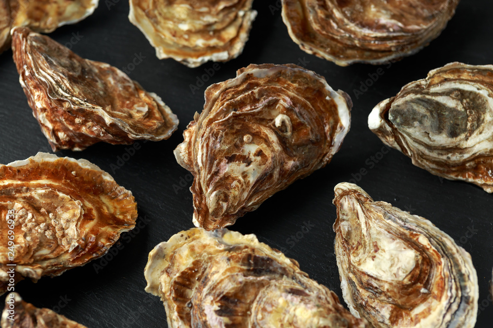 Fresh Oysters on rustic stone board. ready to open and eat Fresh Oysters on rustic stone board. ready to open and eat