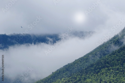 Green mountains top in foggy clouds with eagle and faint sun