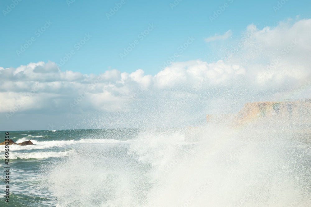 Fototapeta premium Turquoise wive