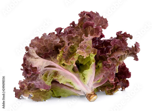 fresh red coral salad or red lettuce isolated on the white background