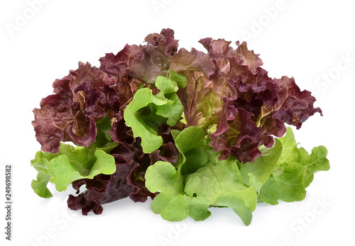 resh red and green coral salad or red lettuce isolated on the white background