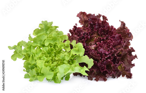 resh red and green coral salad or red lettuce isolated on white background