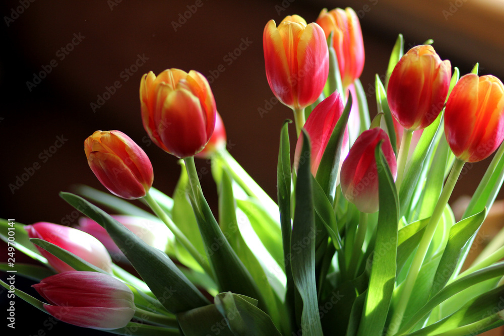 Bouquet of tulips Bouquet of tulips