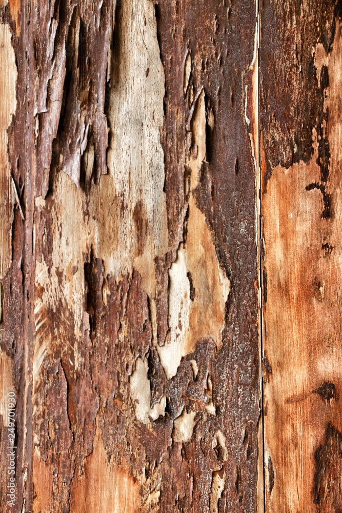 Old wooden board painted brown Old wooden board painted brown