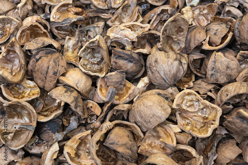 close up view of shattered walnut shells. Textured background of drought walnut shells