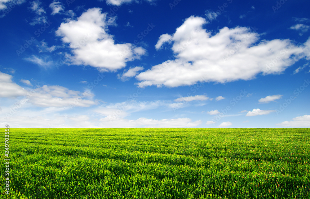 Green field and blue sky