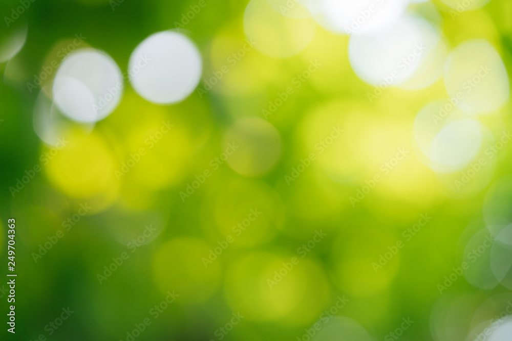 Fototapeta premium Abstract blur green nature for background,blurred and defocused effect spring concept for design.