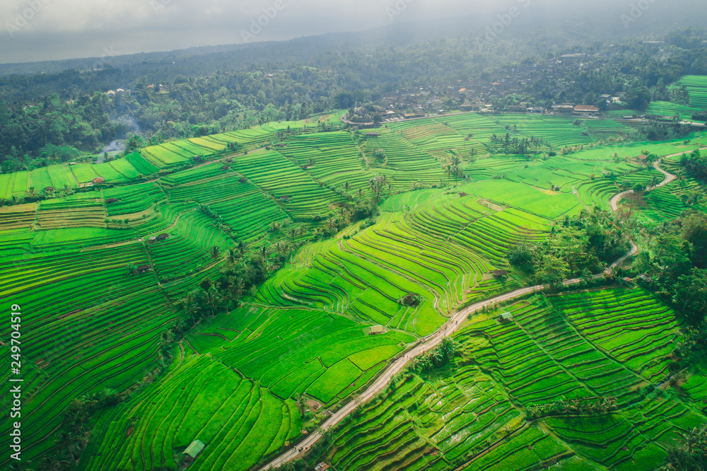 Jatiluwih Rice fields from drone 