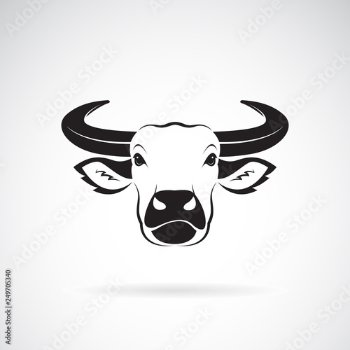 Vector of buffalo head design on white background. Wild Animals. buffalo head Icon or logo. Easy editable layered vector illustration.