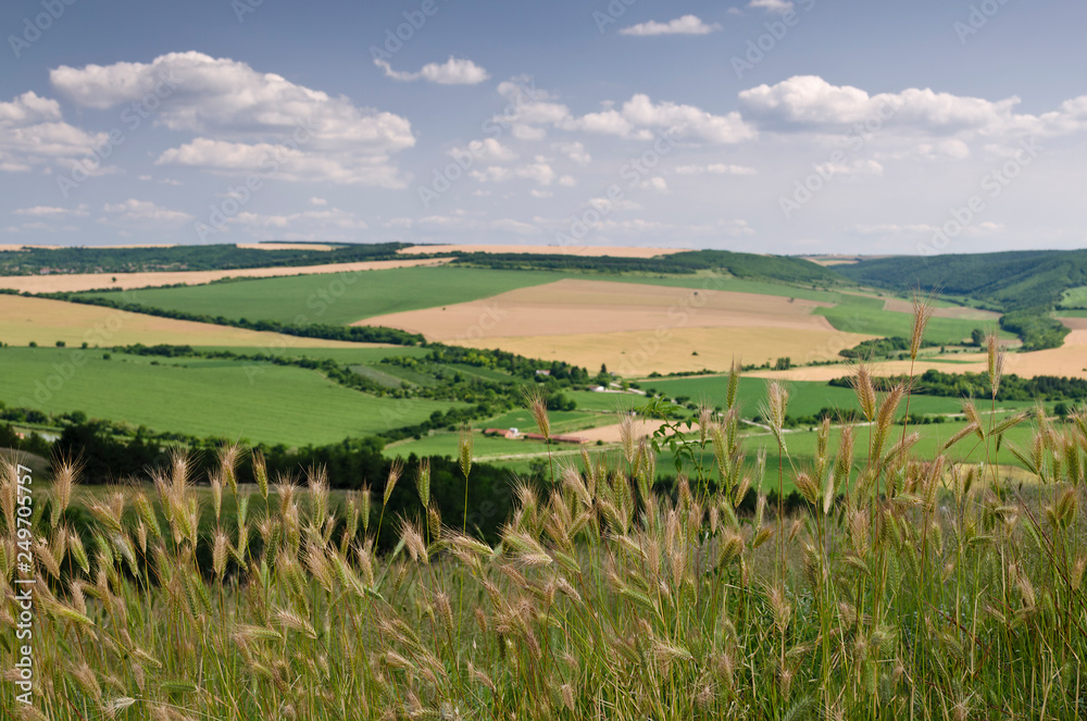 Green fields - Beautiful village landscape in northern Bulgaria