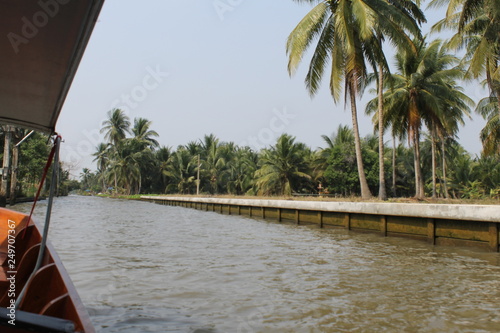 Swamps Thailand close to Bangkok photo