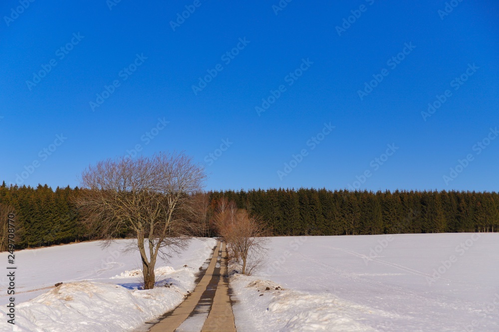 wandern auf dem firstenweg im erzgebirge wandern auf dem firstenweg im erzgebirge
