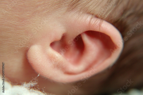 baby ear close-up photo