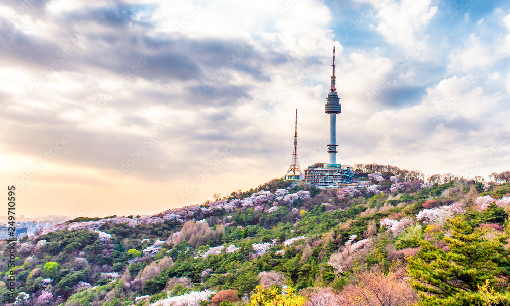 Namsan mountain in spring at seoul south Korea