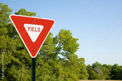 Yield Sign With Green Trees