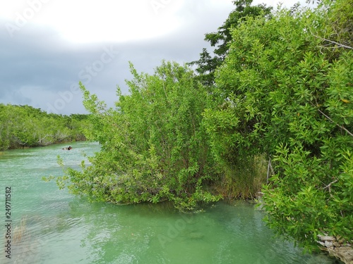 Raudales Quintana Roo, brazo de río. photo