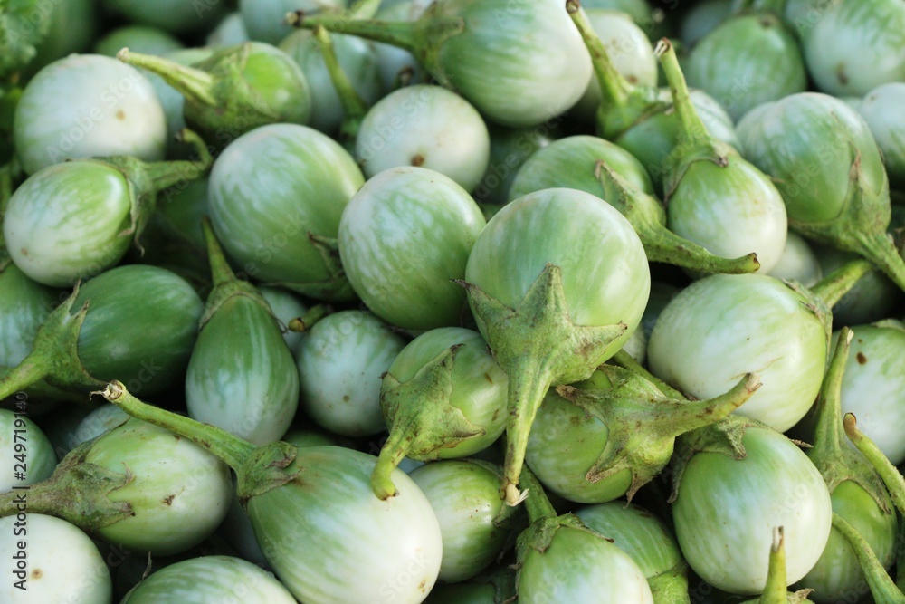 Fresh eggplant green organic at street food Fresh eggplant green organic at street food