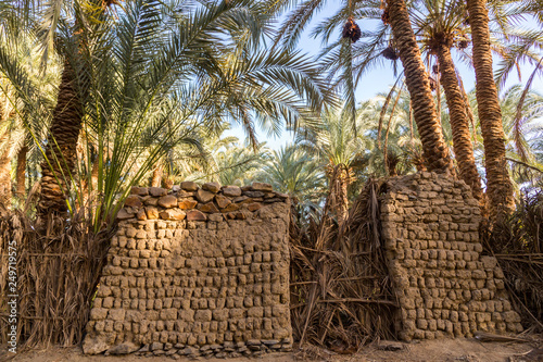 An old traditional building made of clay, thatched walls and adobe bricks in the gardens of date palms near El-Bawiti town, in oasis of Bahariya, Western Desert, Sahara, Egypt photo