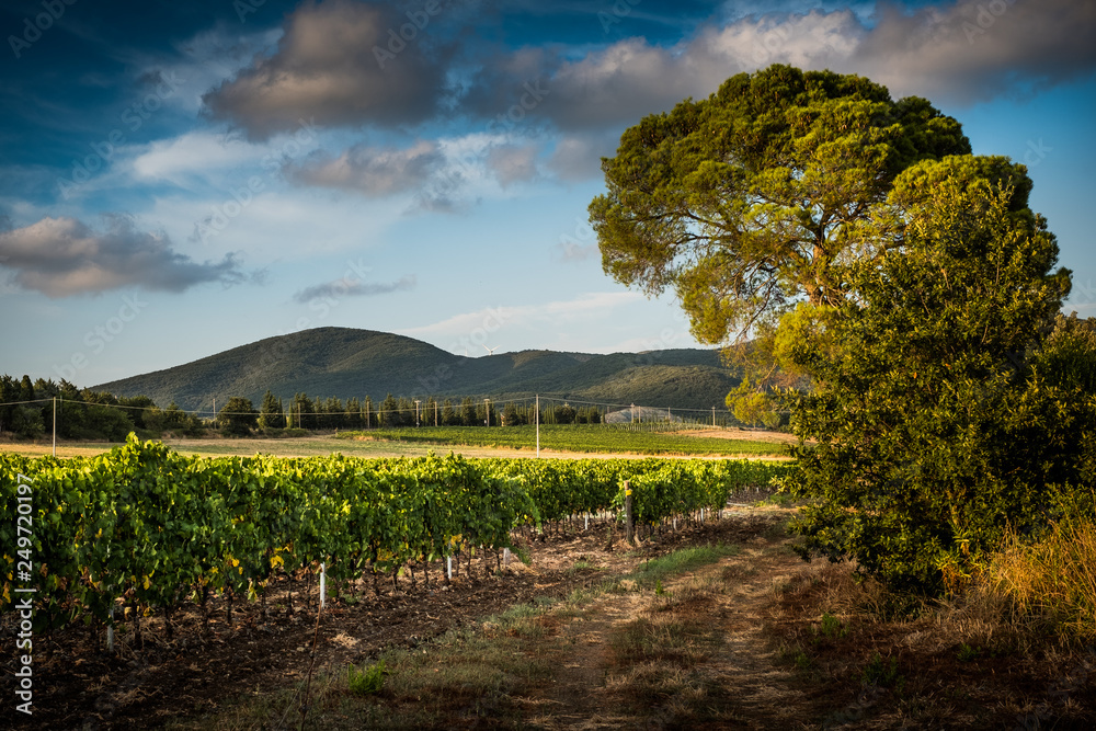 Obraz premium Santa Luce, Pisa - Italy