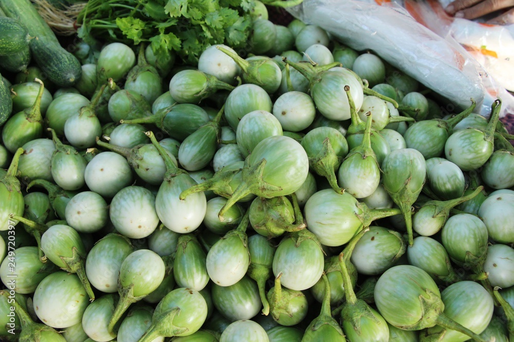 Fresh eggplant green organic at street food Fresh eggplant green organic at street food