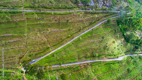 Aerial. Famous green tea plantation landscape view from Lipton's Seat, Haputale, Sri Lanka. photo