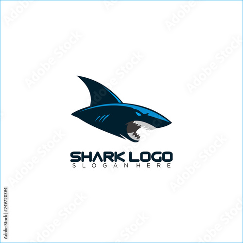 Shark Logo Design