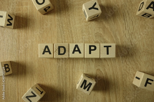 Adapt word from wooden blocks on desk