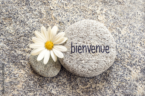 Canvas Print Bienvenue (meaning welcome in french) written on a stone background with a daisy