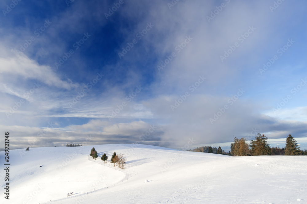 Hügel in winterlichem Schwarzwald mit blauem Wolkenhimmel