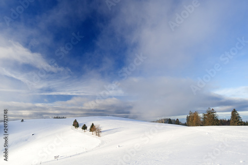 H  gel in winterlichem Schwarzwald mit blauem Wolkenhimmel