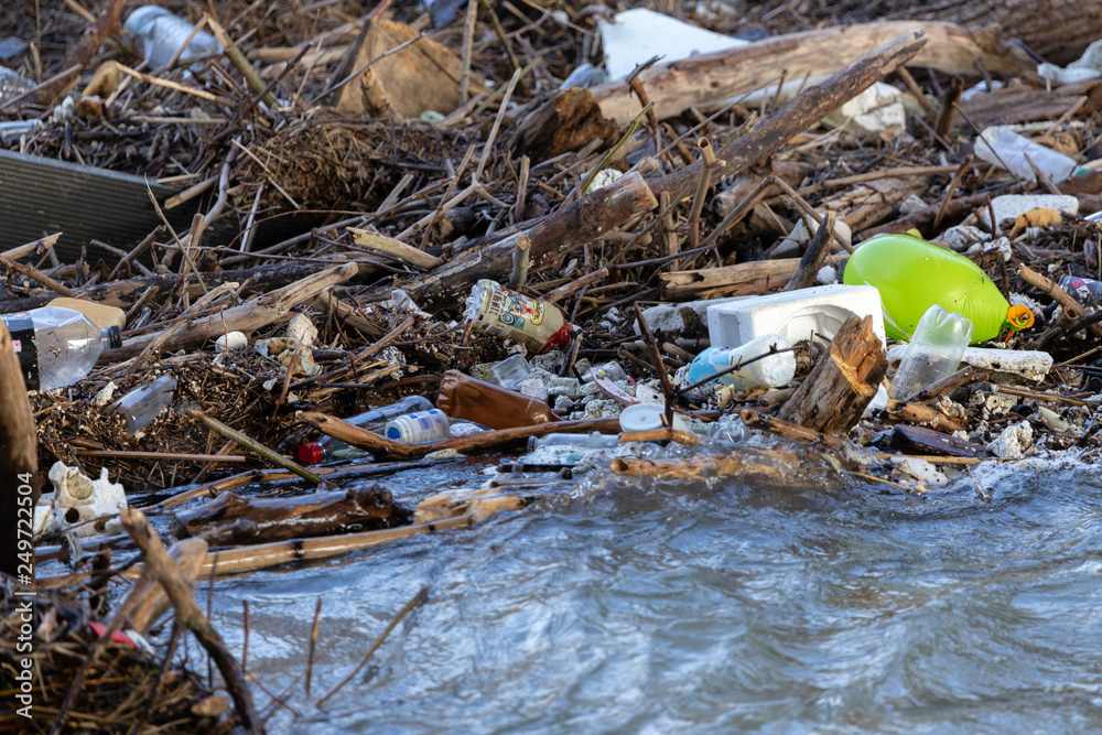 Photography Poster Umweltverschmutzung Hochwasser Rhein Plastik Flaschen Treibholz