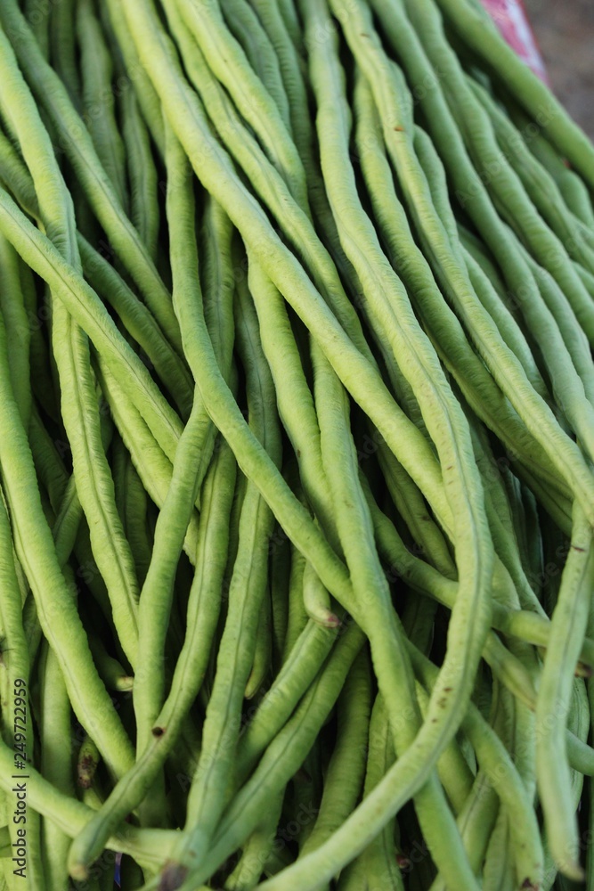 Long bean for cooking at street food Long bean for cooking at street food