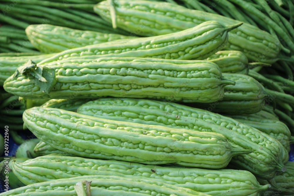 Bitter melon gourd for cooking in market Bitter melon gourd for cooking in market