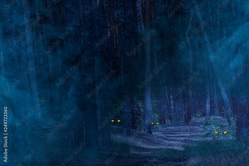 night scary forest with tall trees thick mystical fog and sparkling orange eyes of mysterious animals Stock Photo | Adobe Stock night scary forest with tall trees thick mystical fog and sparkling orange eyes of mysterious animals Stock Photo | Adobe Stock
