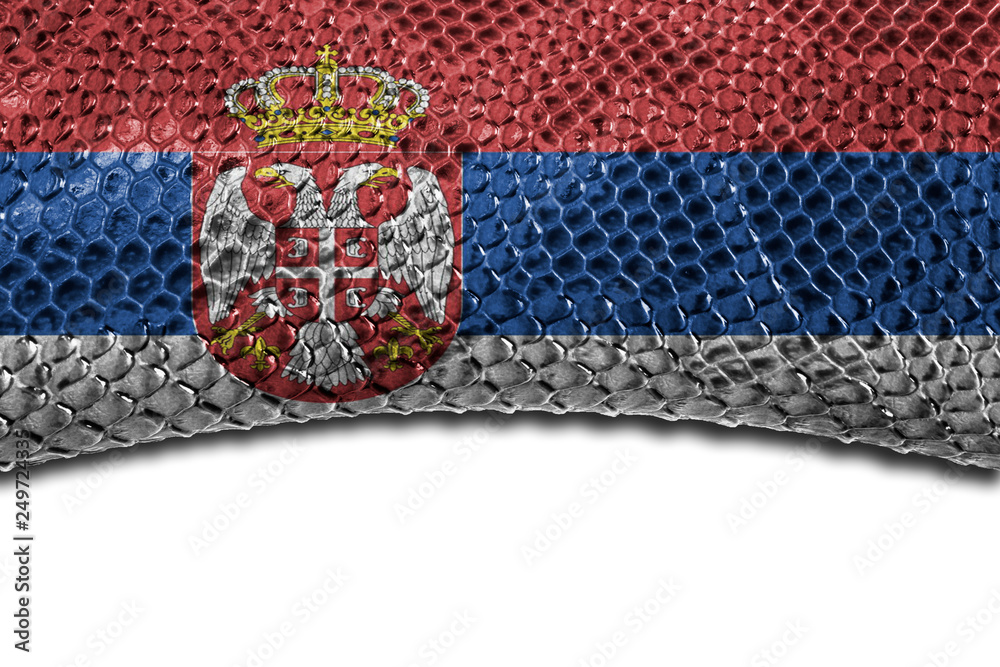 Serbia flag on snake skin with a clean place for the inscription