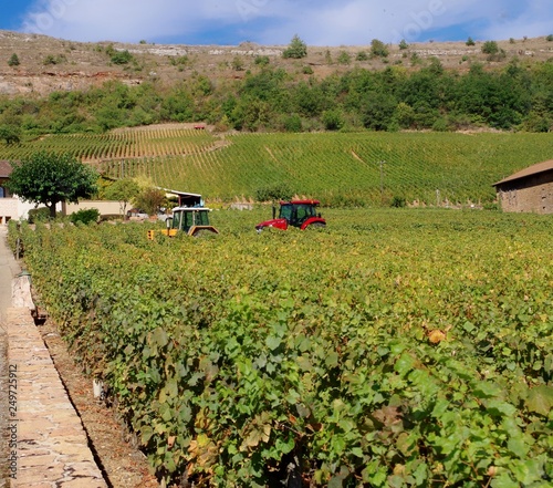 Paysages de vignes en Bourgogne. Deux tracteurs colorés, collines sèches. Image carrée. 