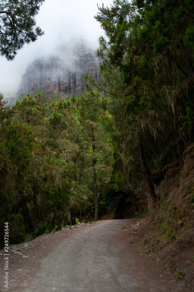 Naklejka premium Los Organos die vulkanischen Orgelpfeifen