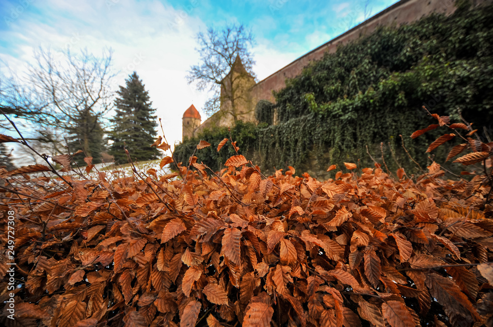 Obraz premium Harburg Castle (Bavaria, Germany)