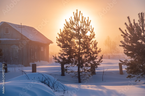 Cold morning in Siberia 