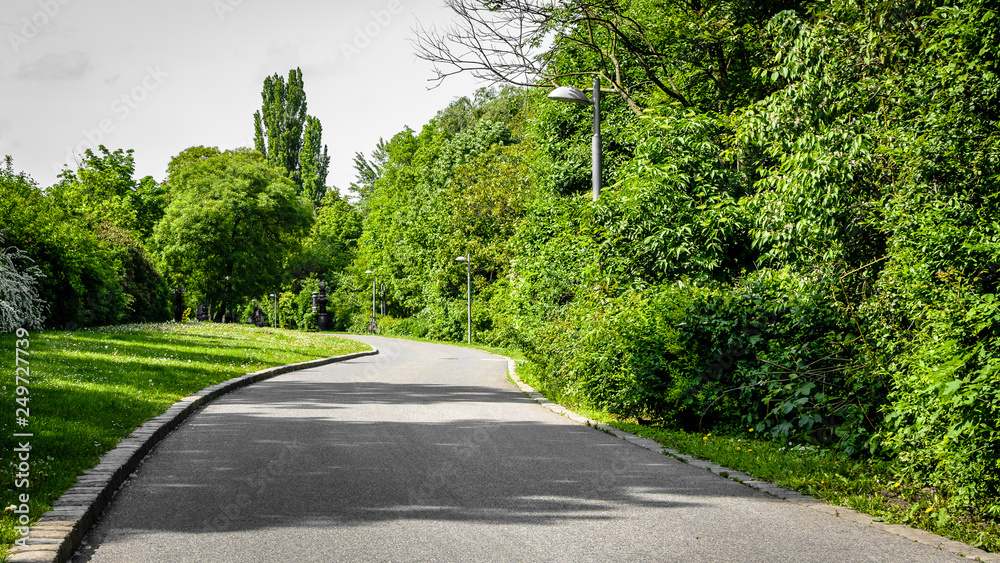 Park road near danube canal surrounded by green bushes and trees Park road near danube canal surrounded by green bushes and trees