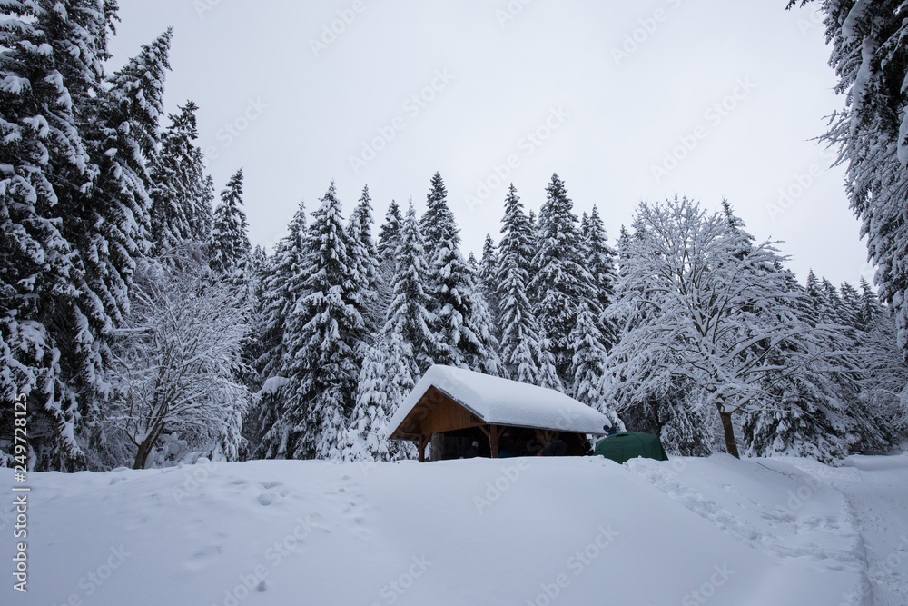 Majestic winter trees glowing by sunlight. Beautiful wintry scene. Beautiful view of traditional wooden mountain cabin in scenic winter wonderland mountain scenery in the Alps Majestic winter trees glowing by sunlight. Beautiful wintry scene. Beautiful view of traditional wooden mountain cabin in scenic winter wonderland mountain scenery in the Alps