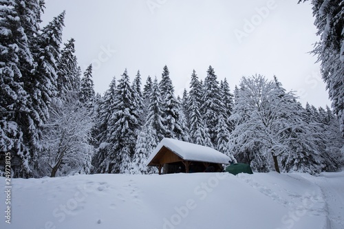 Majestic winter trees glowing by sunlight. Beautiful wintry scene. Beautiful view of traditional wooden mountain cabin in scenic winter wonderland mountain scenery in the Alps © Michal