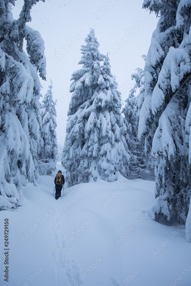 Hiker pushing through the fog on a snowy slope. Ski touring in harsh winter conditions. Ski tourer sporting in in the mountains. Winter alpine landscape and wide mountain landscape Hiker pushing through the fog on a snowy slope. Ski touring in harsh winter conditions. Ski tourer sporting in in the mountains. Winter alpine landscape and wide mountain landscape