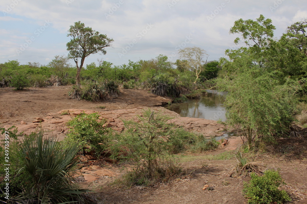 Typical landscape of the north eastern part of South Africa, the Lowveld, showing a stream and trees. Typical landscape of the north eastern part of South Africa, the Lowveld, showing a stream and trees.