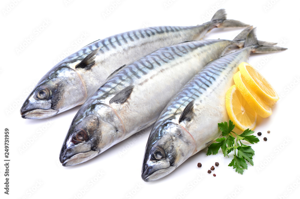 Mackerel fish on white background Mackerel fish on white background